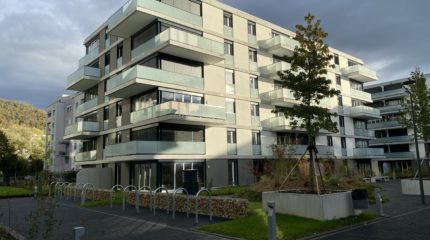 Stores à lamelles 2