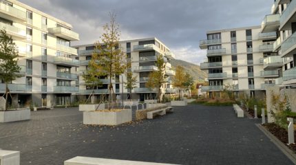 Stores à lamelles 3