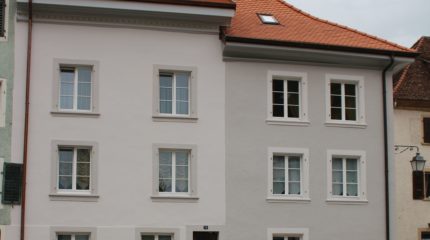 Fenêtres en bois 1