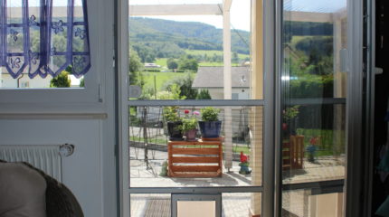 Moustiquaire porte battante 1